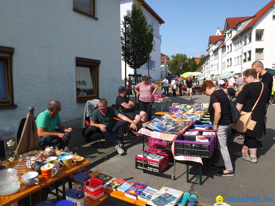 39. Schloss- und Kinderfest: Aulendorf, 20.08.2017