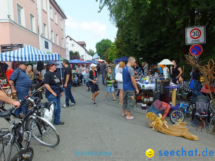 39. Schloss- und Kinderfest: Aulendorf, 20.08.2017