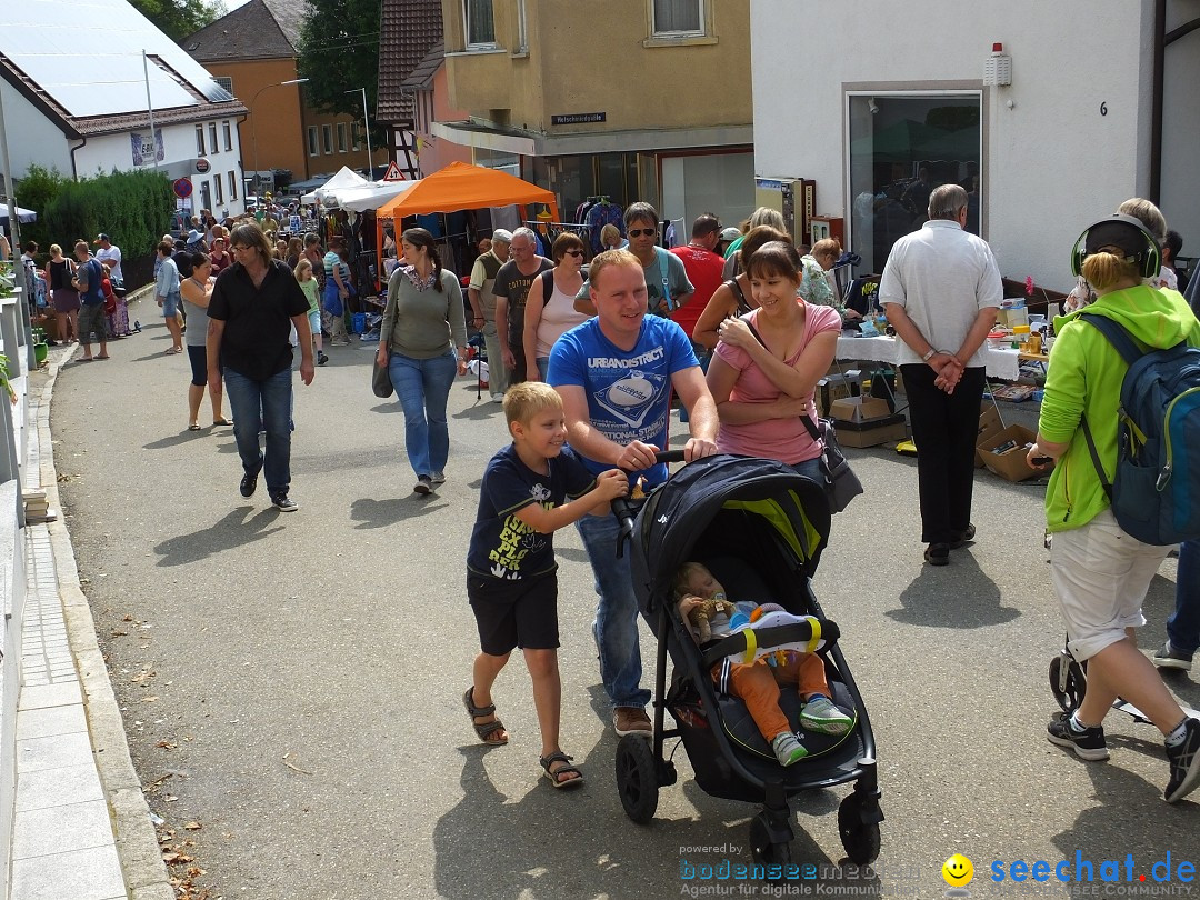 39. Schloss- und Kinderfest: Aulendorf, 20.08.2017