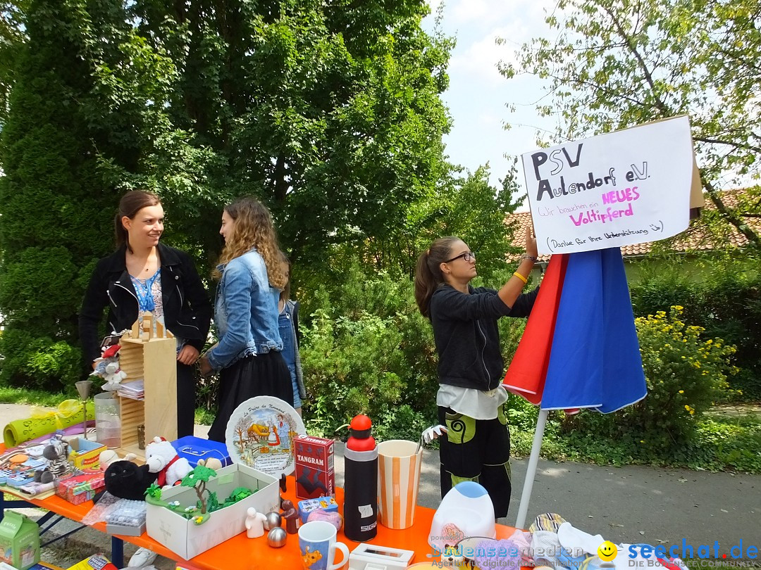 39. Schloss- und Kinderfest: Aulendorf, 20.08.2017