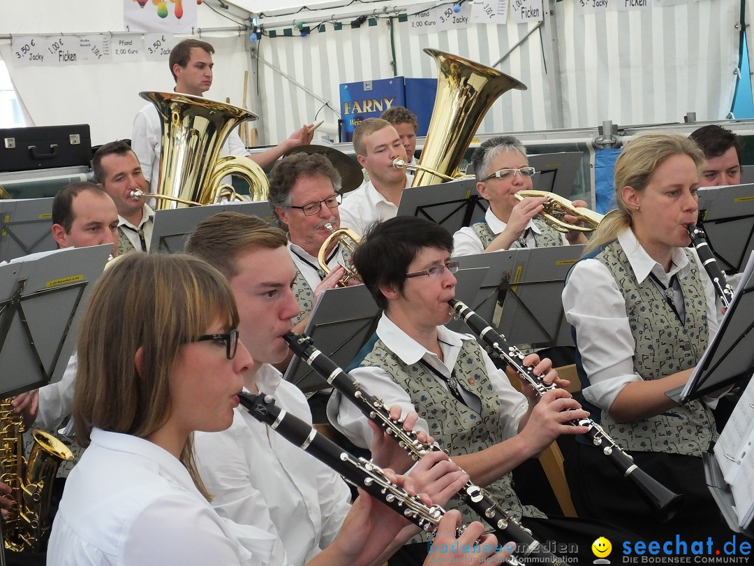 39. Schloss- und Kinderfest: Aulendorf, 20.08.2017
