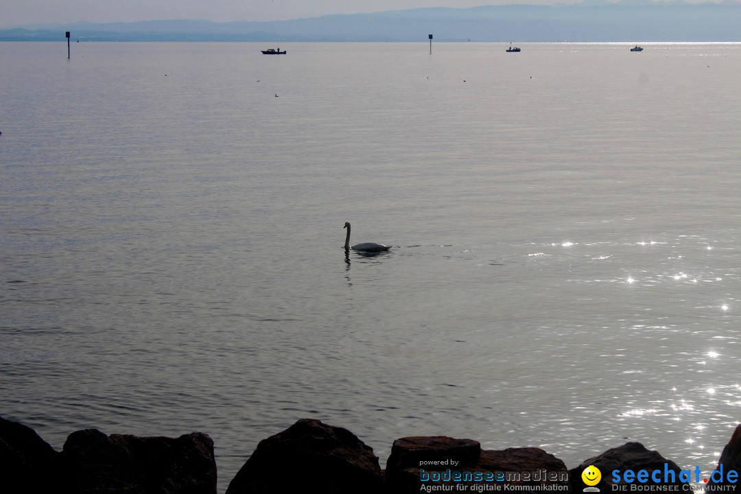 SlowUp Romanshorn mit TEAM seechat.de Bodensee-Community, 27.08.17
