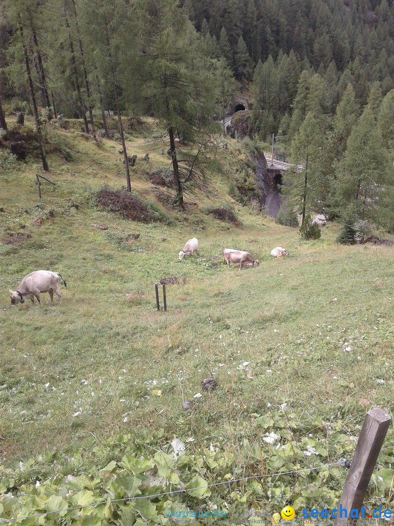 seechat.de Team beim SlowUp Mountain Albula Schweiz, 03.09.2017