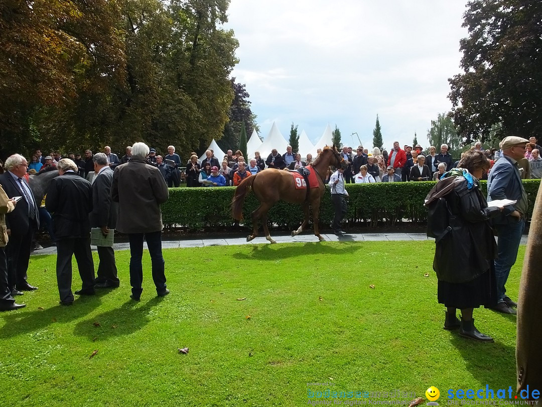 Pferderennen: Baden-Racing - GROSSE WOCHE 2017: Baden-Baden, 03.09.2017