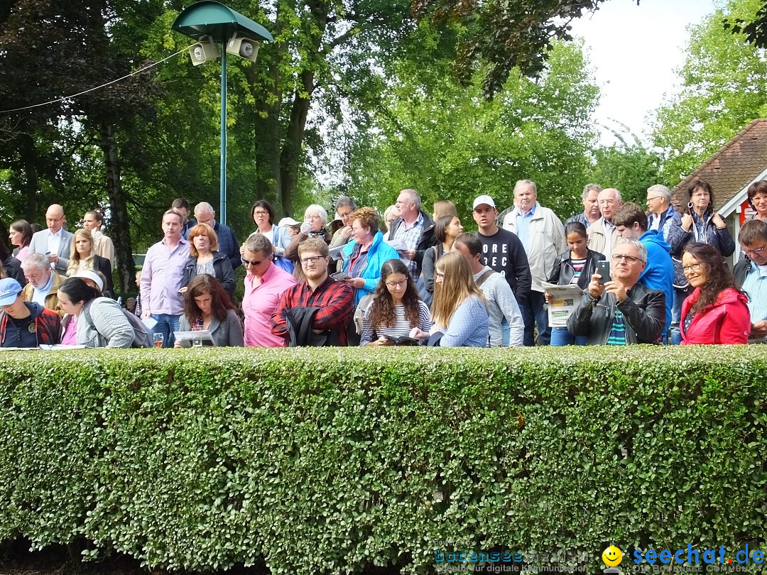 Pferderennen: Baden-Racing - GROSSE WOCHE 2017: Baden-Baden, 03.09.2017