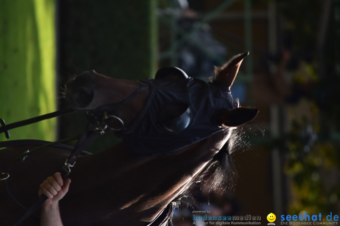 Pferderennen: Baden-Racing - GROSSE WOCHE 2017: Baden-Baden, 03.09.2017