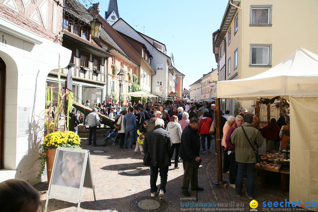 Mittelalterfest: Markdorf am Bodensee, 17.09.2017