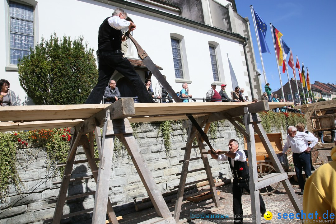 Mittelalterfest: Markdorf am Bodensee, 17.09.2017