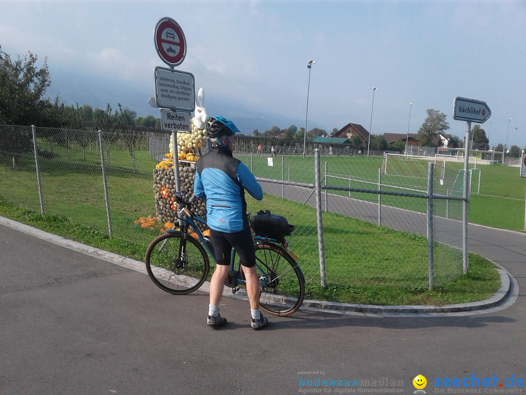 Slowup-Zuerichsee-20170924-Bodensee-Community-SEECHAT_DE20170924_103223