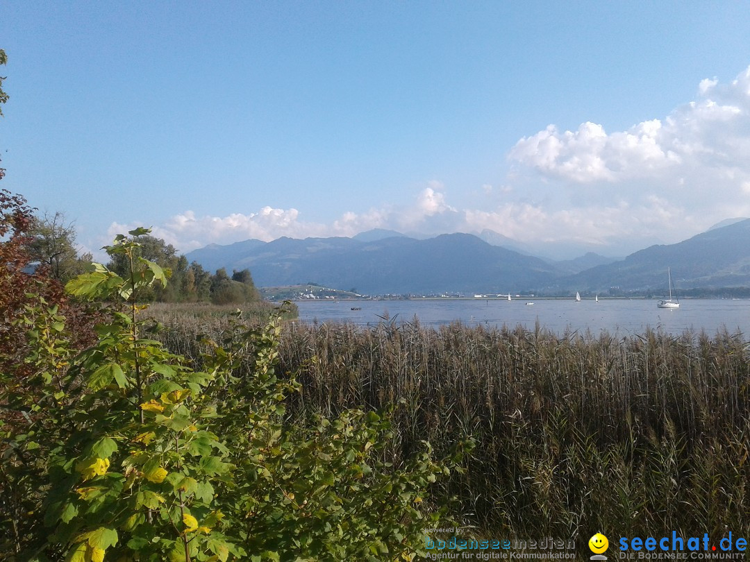 Slowup-Zuerichsee-20170924-Bodensee-Community-SEECHAT_DE20170924_163630