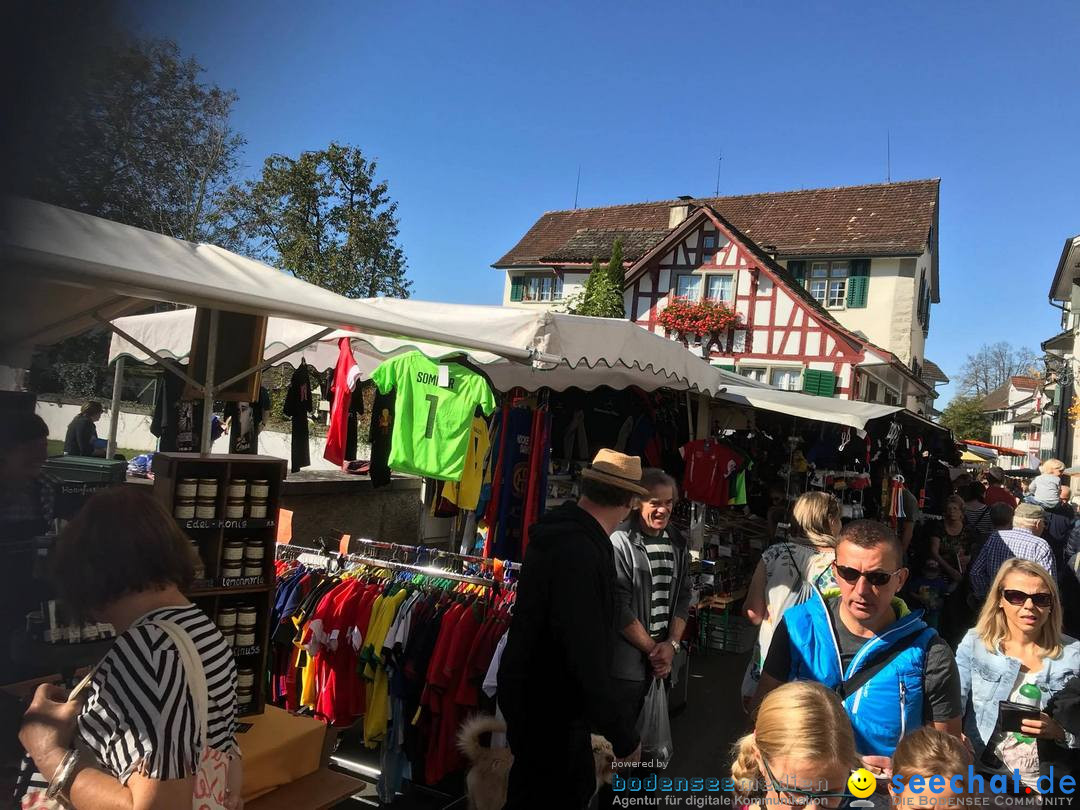 grueningermarkt-grueningen-2017-10-15-bodensee-community-seechat_ch-_18_