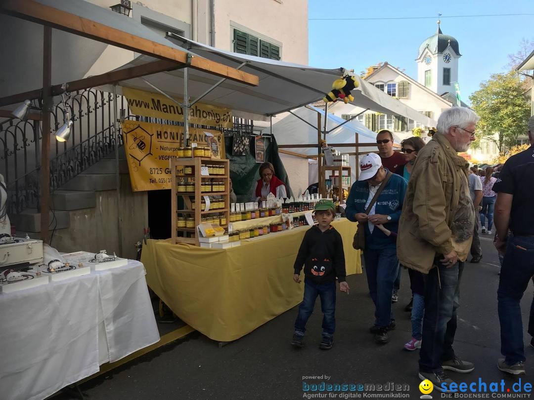 grueningermarkt-grueningen-2017-10-15-bodensee-community-seechat_ch-_5_