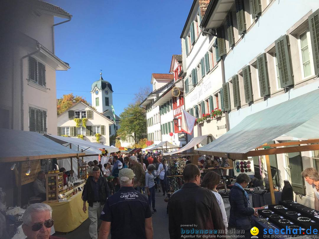 xgrueningermarkt-grueningen-2017-10-15-bodensee-community-seechat_ch-_1_