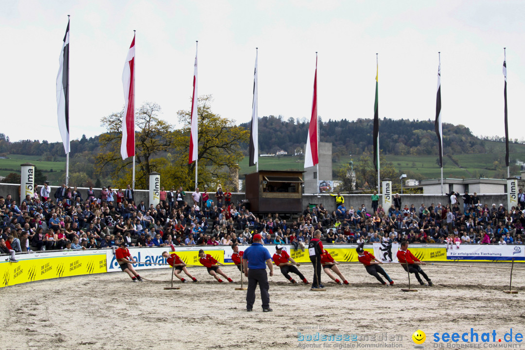 OLMA-Messe-St-Gallen-2017-10-21-Bodensee-Community-SEECHAT_DE-_1_