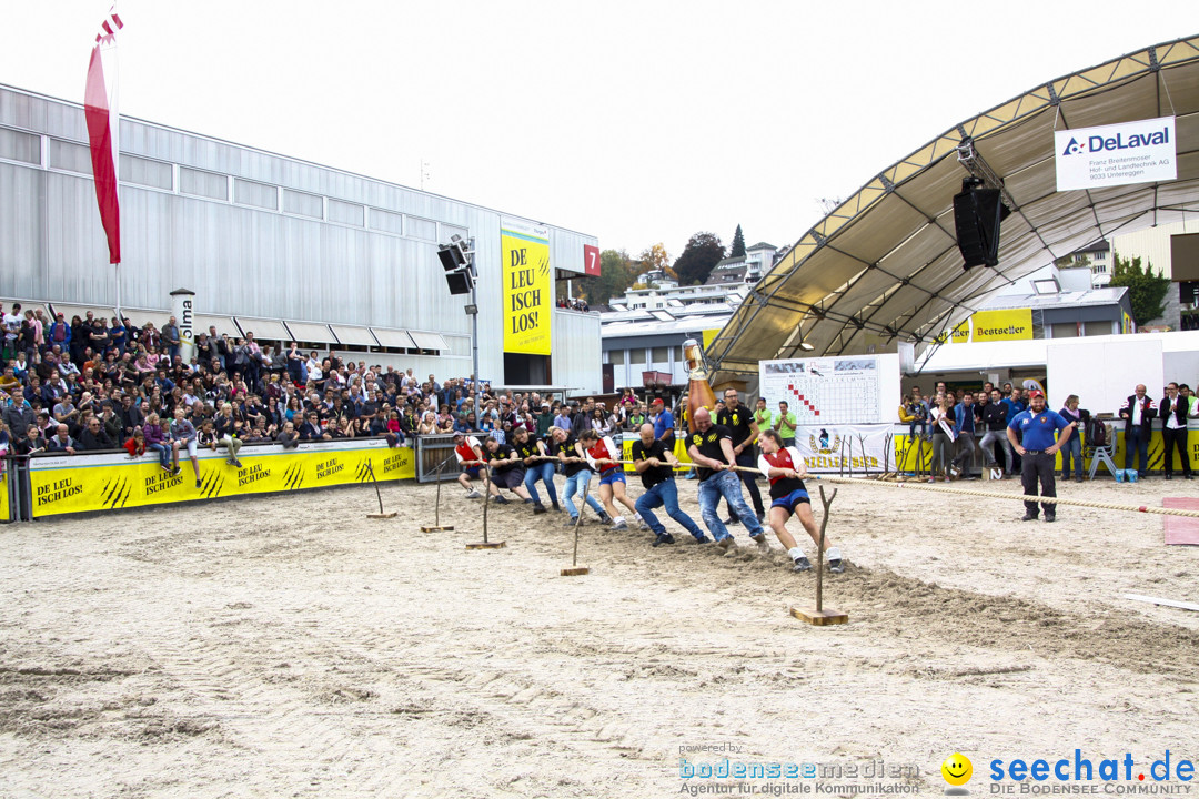 OLMA-Messe-St-Gallen-2017-10-21-Bodensee-Community-SEECHAT_DE-_12_