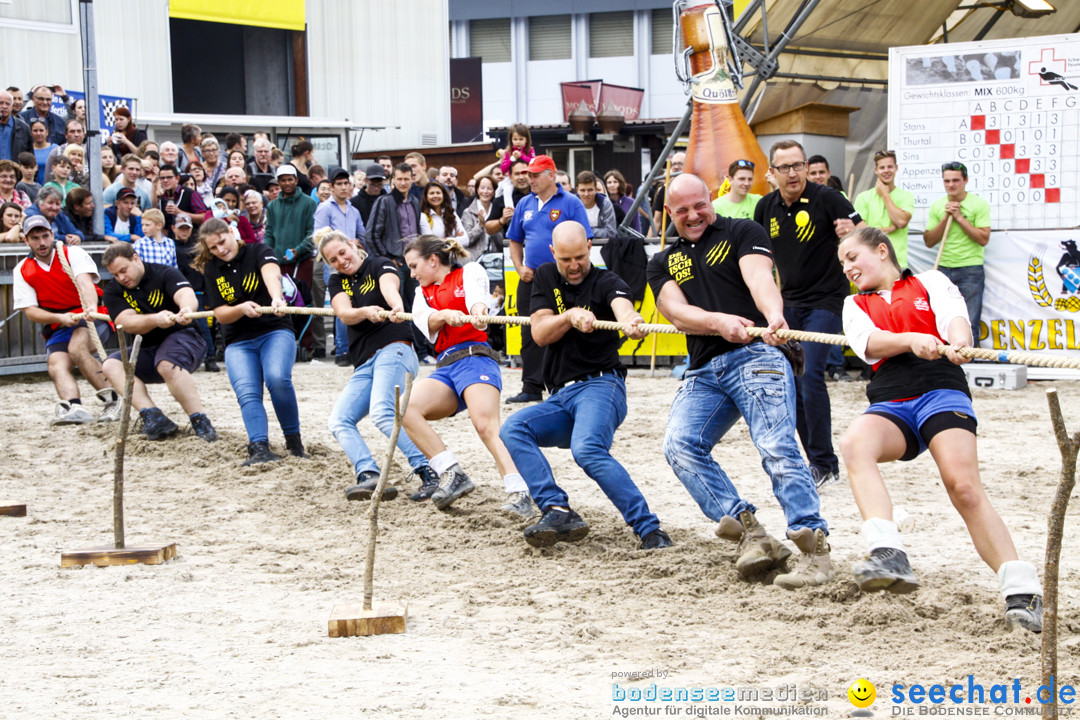 xOLMA-Messe-St-Gallen-2017-10-21-Bodensee-Community-SEECHAT_DE-_13_