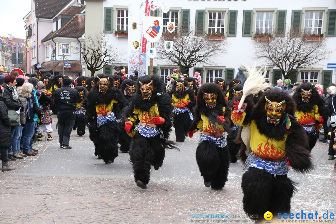 Narrensprung-Langenargen-140118-seechat_de-IMG_2240