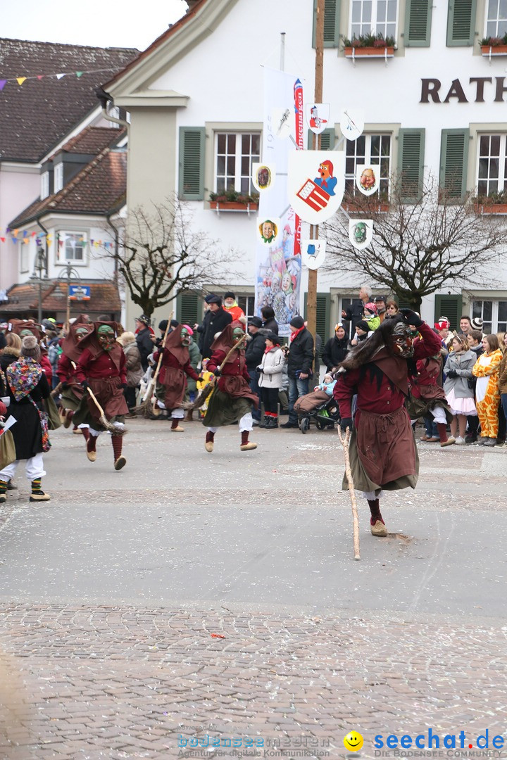Narrensprung-Langenargen-140118-seechat_de-IMG_2268