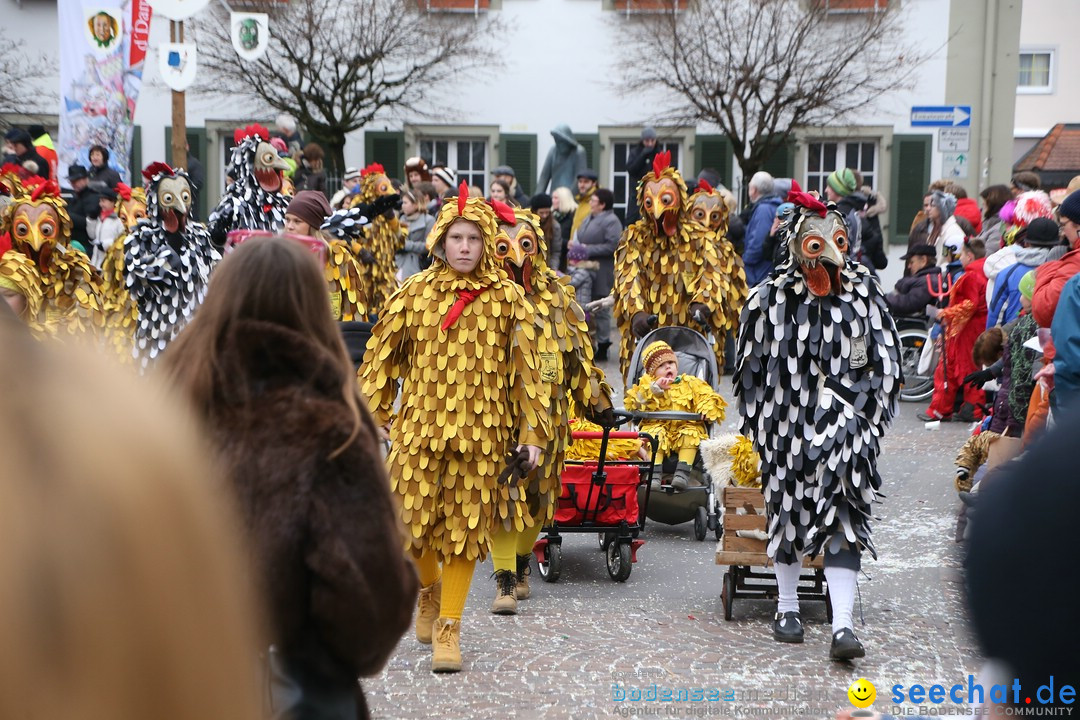 Narrensprung-Langenargen-140118-seechat_de-IMG_2318