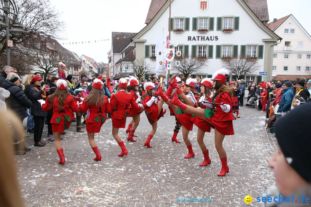 Narrensprung-Langenargen-140118-seechat_de-IMG_2326