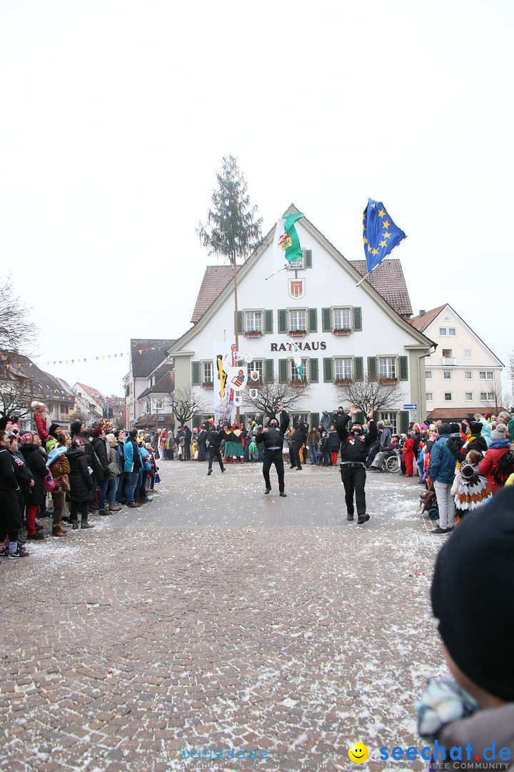 Narrensprung-Langenargen-140118-seechat_de-IMG_2380
