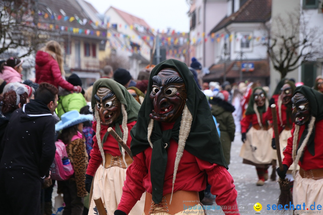 Narrensprung-Langenargen-140118-seechat_de-IMG_2396