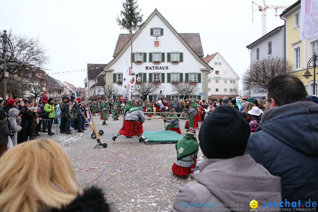 Narrensprung-Langenargen-140118-seechat_de-IMG_2418