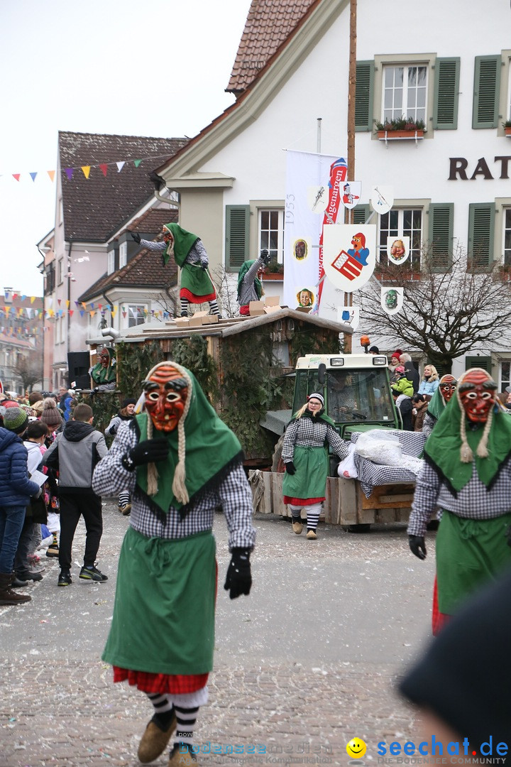 Narrensprung-Langenargen-140118-seechat_de-IMG_2440