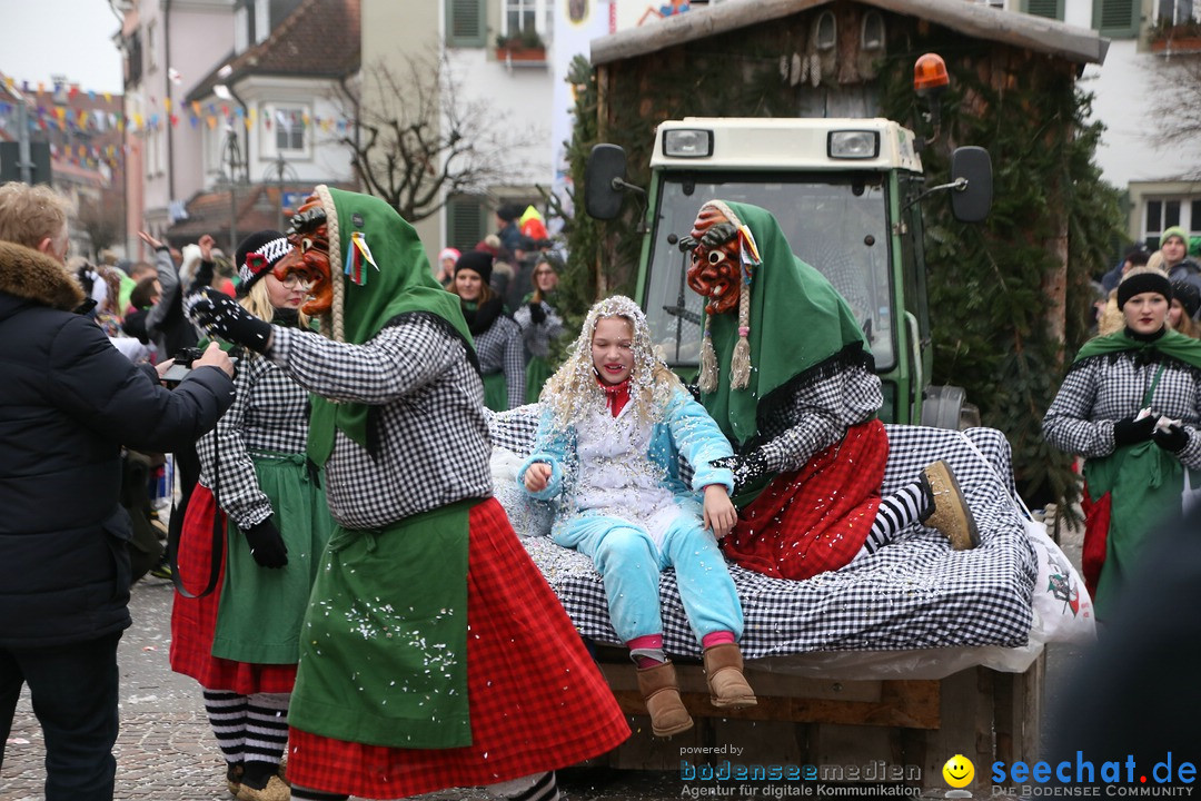 Narrensprung-Langenargen-140118-seechat_de-IMG_2443