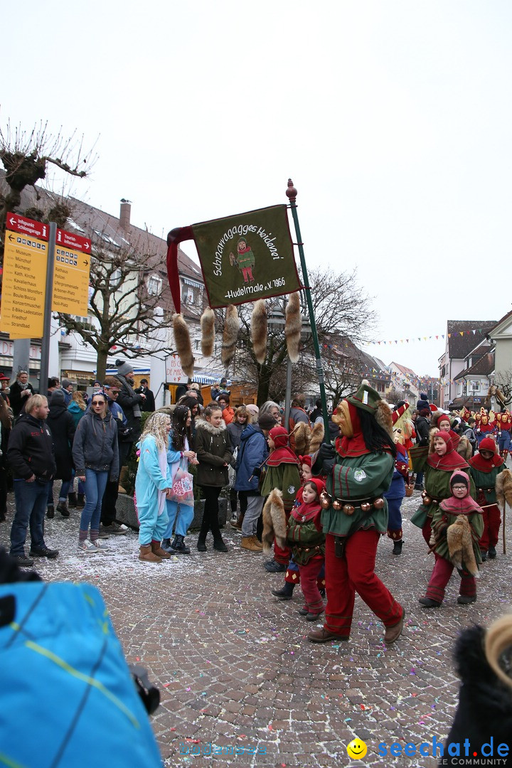 Narrensprung-Langenargen-140118-seechat_de-IMG_2446