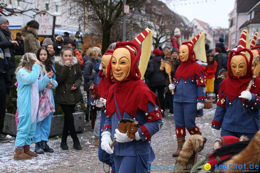 Narrensprung-Langenargen-140118-seechat_de-IMG_2448