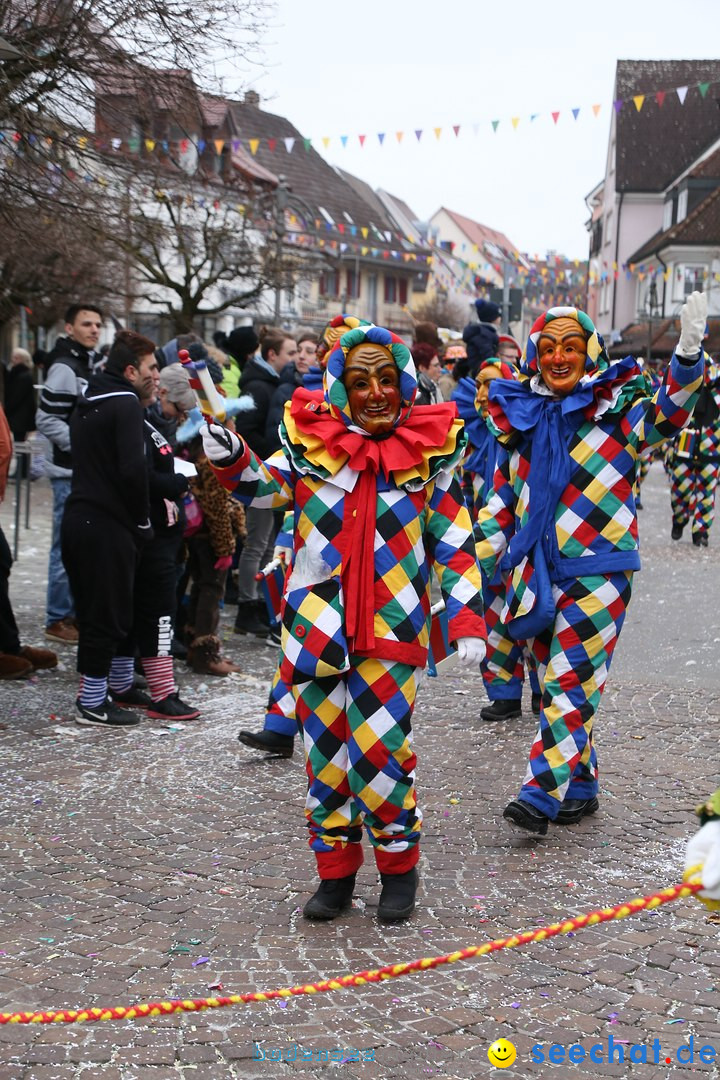 Narrensprung-Langenargen-140118-seechat_de-IMG_2460
