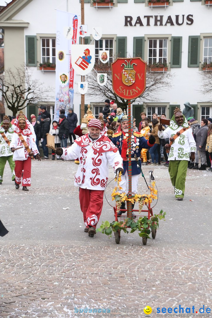 Narrensprung-Langenargen-140118-seechat_de-IMG_2516