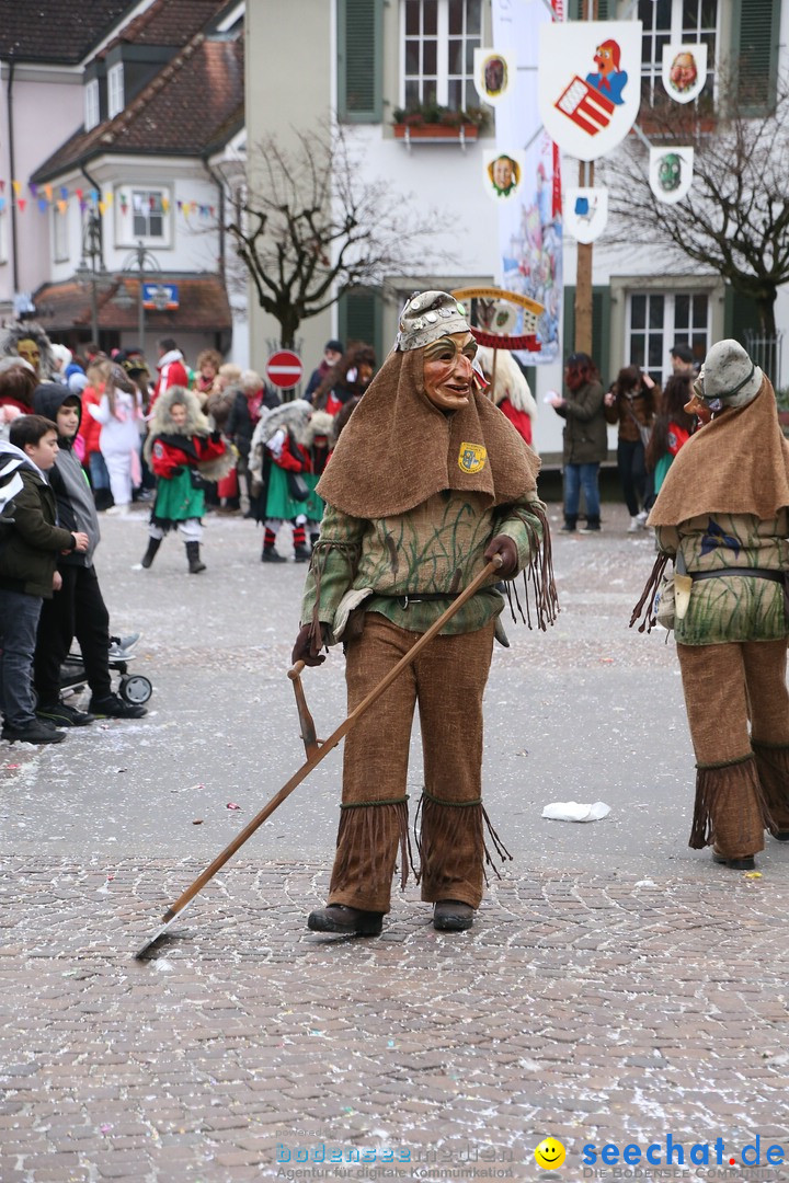 Narrensprung-Langenargen-140118-seechat_de-IMG_2576