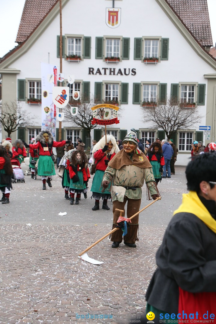 Narrensprung-Langenargen-140118-seechat_de-IMG_2577