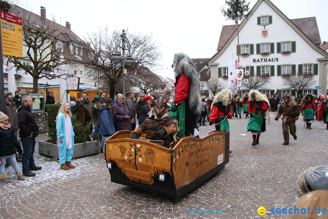 Narrensprung-Langenargen-140118-seechat_de-IMG_2580
