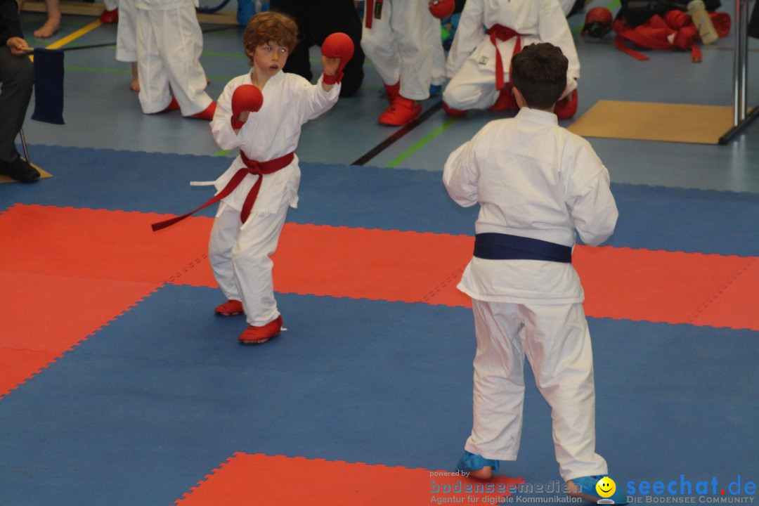 Karate-Show: Kreuzlingen am Bodensee, 21.01.2018