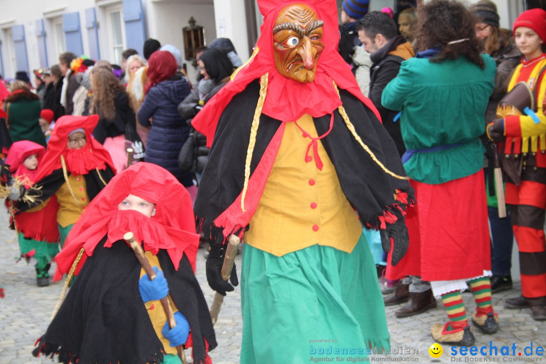 VSAN-Landschaftstreffen: Bad-Waldsee, 28.01.2018