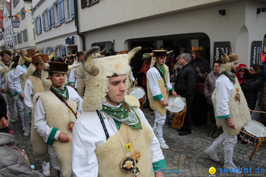 VSAN-Landschaftstreffen: Bad-Waldsee, 28.01.2018