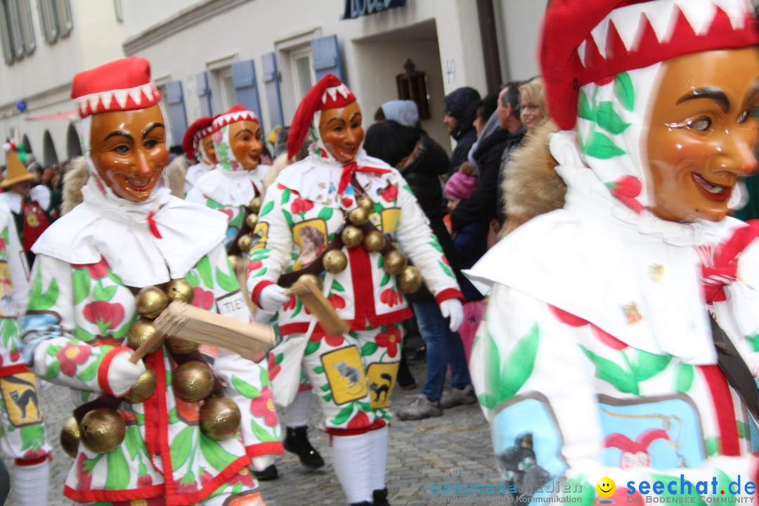 VSAN-Landschaftstreffen: Bad-Waldsee, 28.01.2018