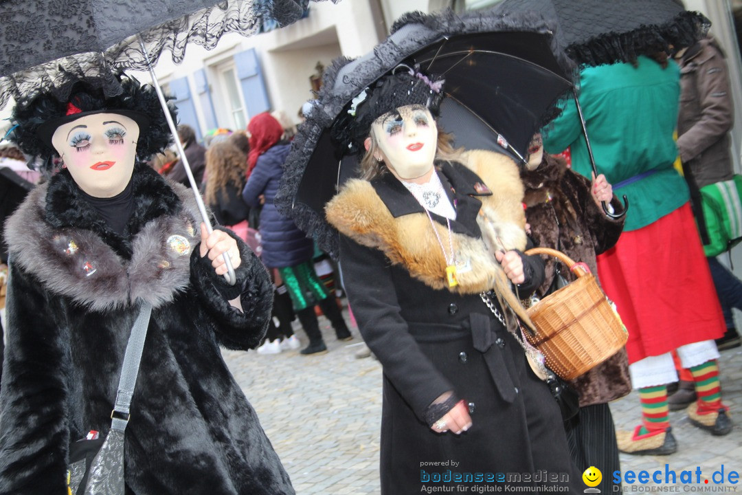 VSAN-Landschaftstreffen: Bad-Waldsee, 28.01.2018