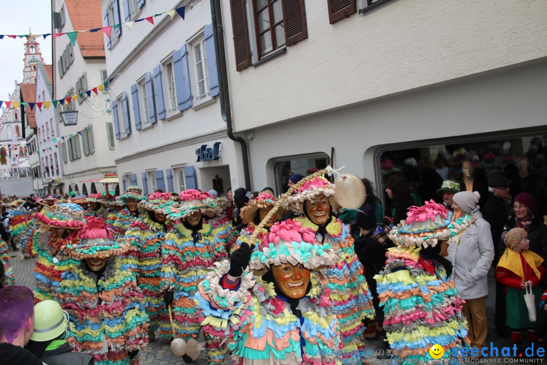 VSAN-Landschaftstreffen: Bad-Waldsee, 28.01.2018