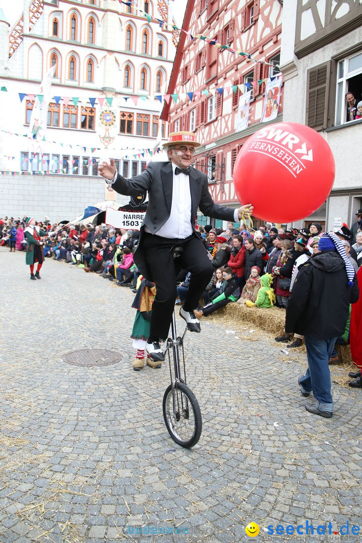 VSAN-Landschaftstreffen: Bad-Waldsee, 28.01.2018