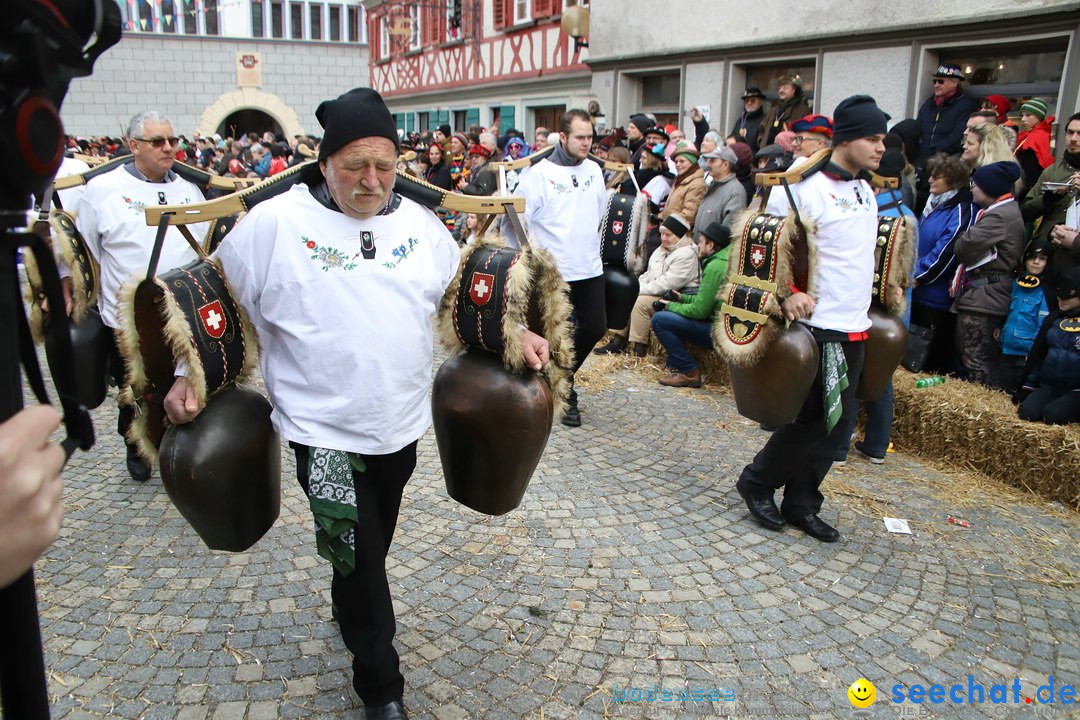 VSAN-Landschaftstreffen: Bad-Waldsee, 28.01.2018