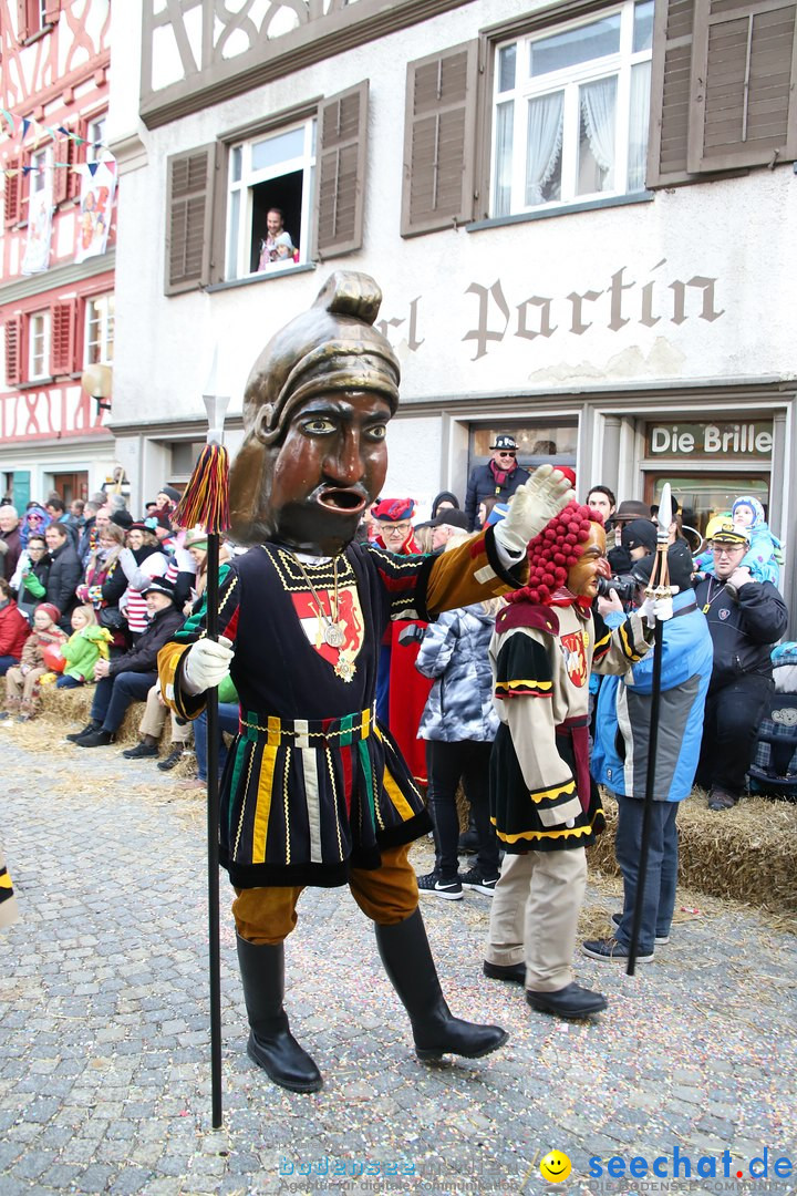 VSAN-Landschaftstreffen: Bad-Waldsee, 28.01.2018
