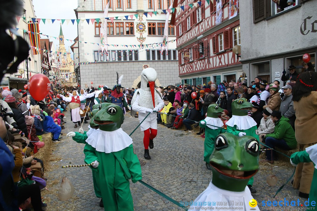 VSAN-Landschaftstreffen: Bad-Waldsee, 28.01.2018