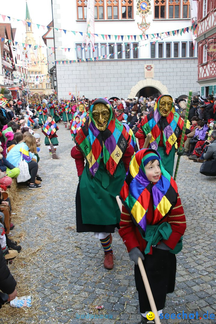VSAN-Landschaftstreffen: Bad-Waldsee, 28.01.2018