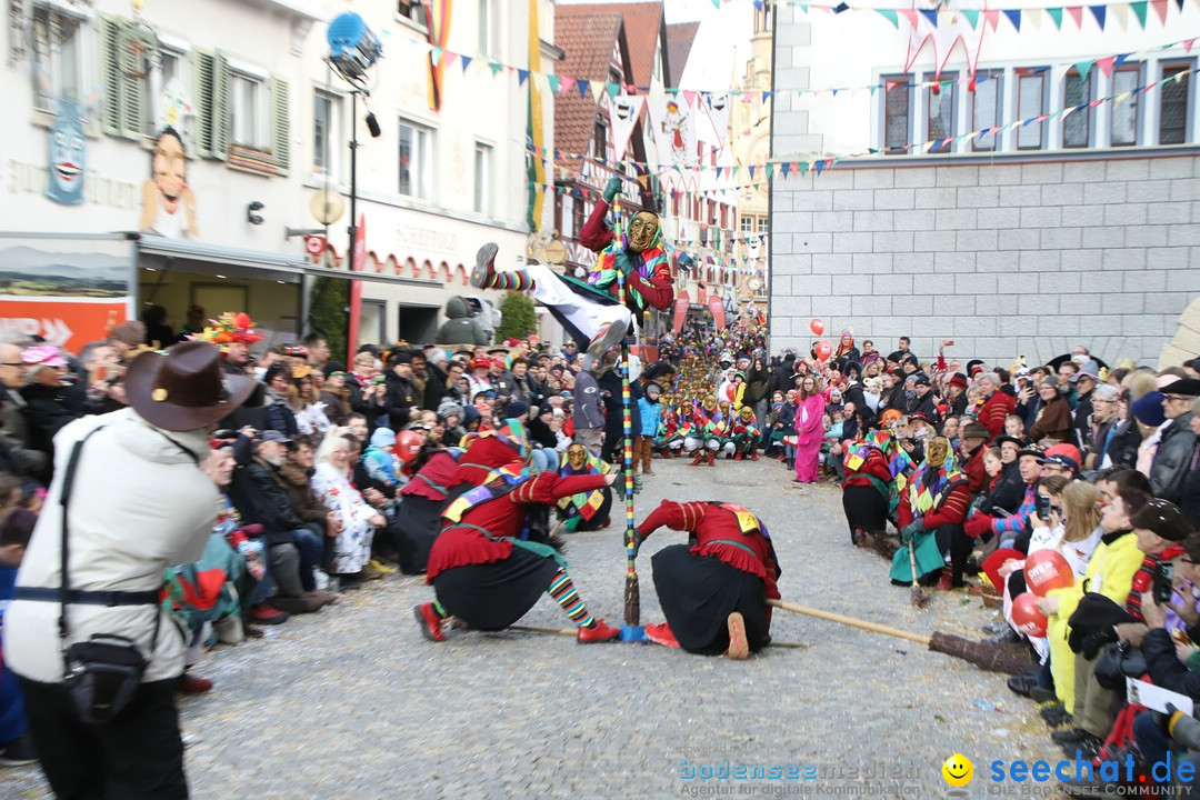VSAN-Landschaftstreffen: Bad-Waldsee, 28.01.2018