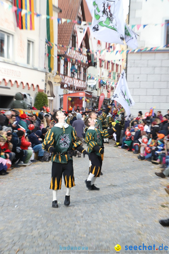 VSAN-Landschaftstreffen: Bad-Waldsee, 28.01.2018