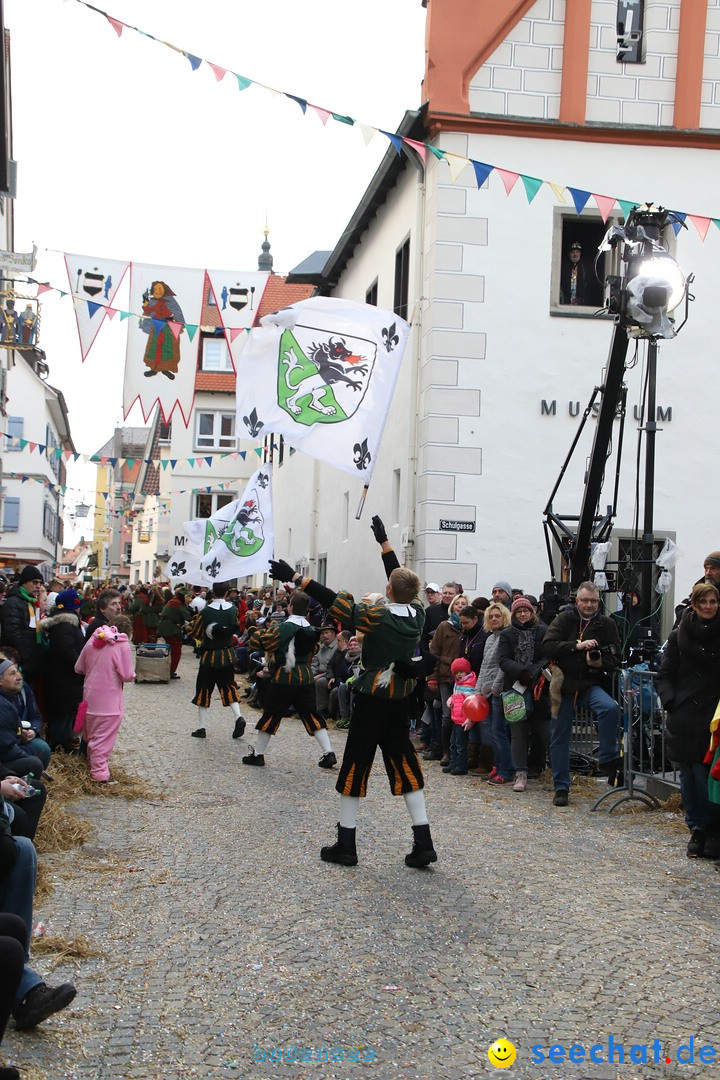 VSAN-Landschaftstreffen: Bad-Waldsee, 28.01.2018